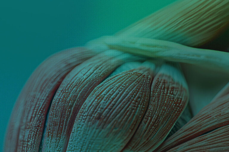 Métodos para valorar el Tejido Muscular Esquelético