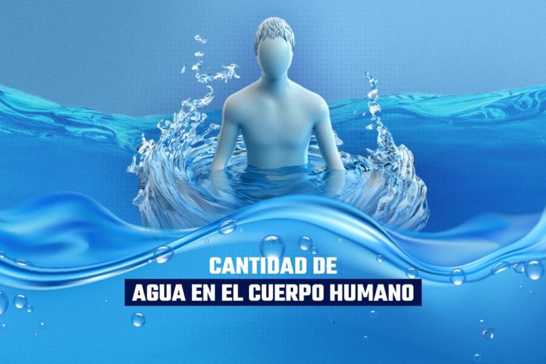 Cantidad de agua en el cuerpo humano