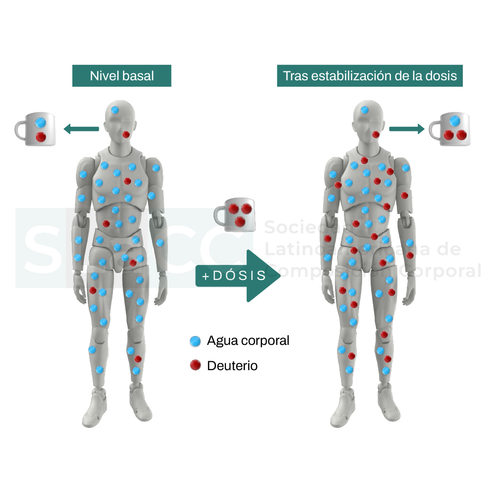 Dilusión de deuterio
