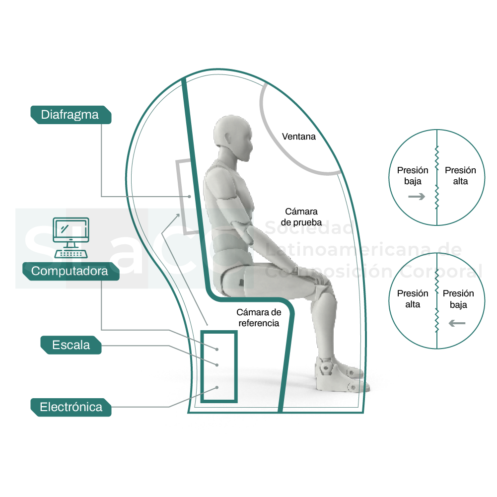 Pletismografía por desplazamiento de aire